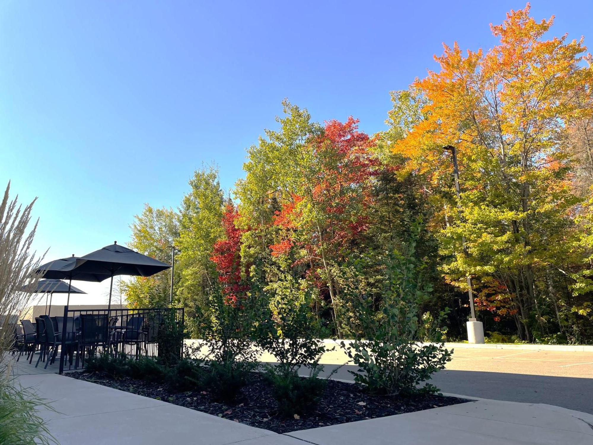 Fairfield By Marriott Inn & Suites North Bay Extérieur photo